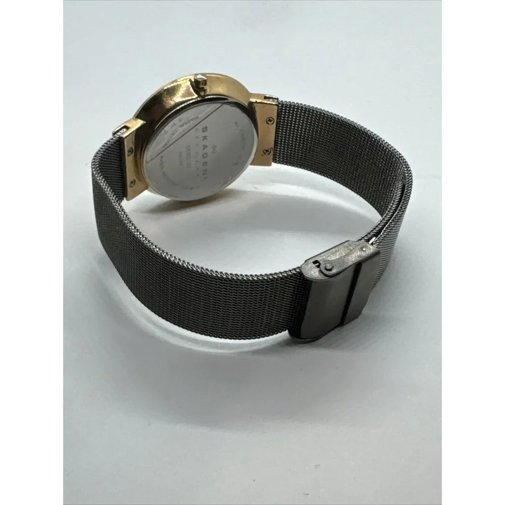 Skagen SKW2120 Women's Gray Stainless Steel Mesh Analog Dial Quartz Watch JNA916